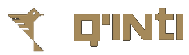Q'inti